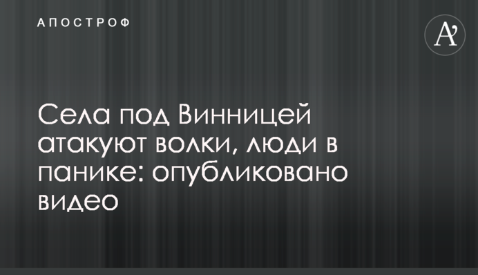 Села під Вінницею атакують вовки, люди в паніці: опубліковано відео