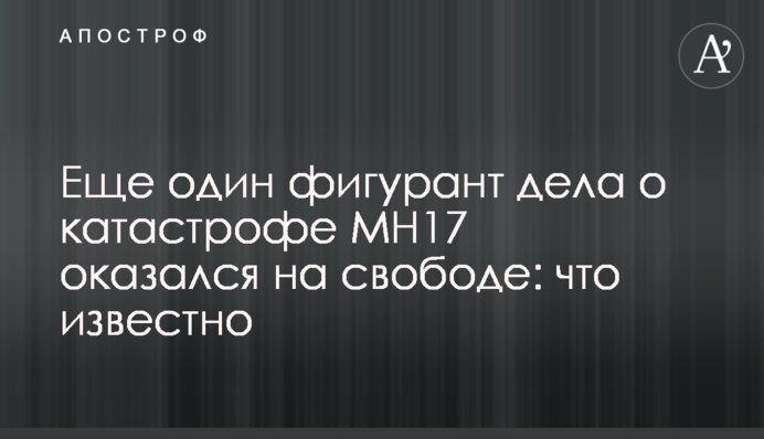 Еще один фигурант дела о катастрофе МН17 оказался на свободе: что известно
