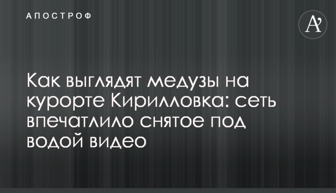 Как выглядят медузы на курорте Кирилловка: сеть впечатлило снятое под водой видео