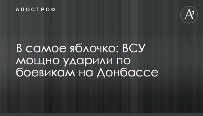 В самое яблочко: ВСУ мощно ударили по боевикам на Донбассе
