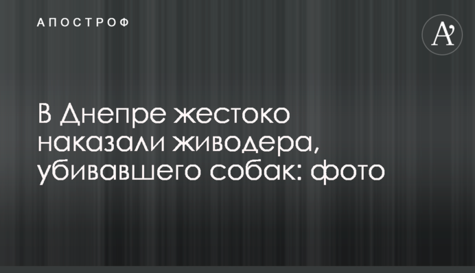У Дніпрі жорстоко покарали шкуродера, який вбивав собак: фото