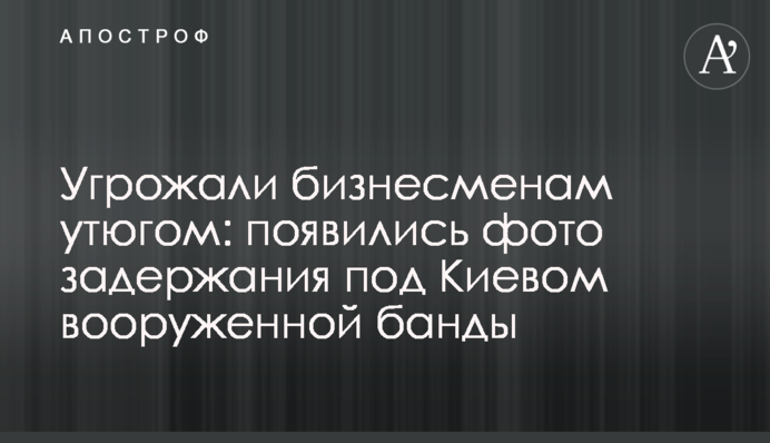 Угрожали бизнесменам утюгом: появились фото задержания под Киевом вооруженной банды