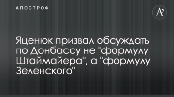 Яценюк призвал обсуждать по Донбассу не "формулу Штаймайера", а "формулу Зеленского"