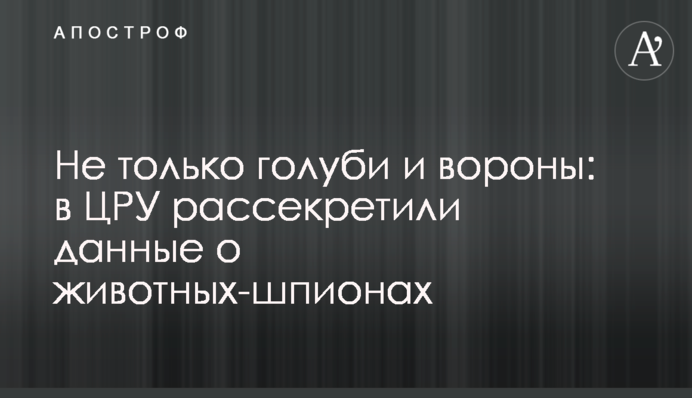 Не тільки голуби і ворони: в ЦРУ розсекретили дані про тварин-шпигунів