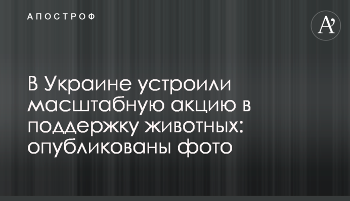 В Україні влаштували масштабну акцію на підтримку тварин: опубліковано фото