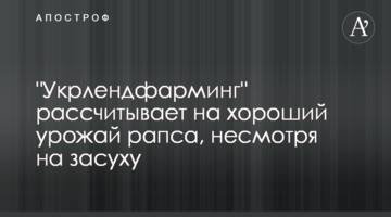 "Укрлендфарминг" рассчитывает на хороший урожай рапса, несмотря на засуху