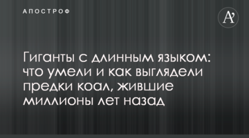 Гіганти з довгим язиком: що вміли і як виглядали пращури коал, які жили мільйони років тому