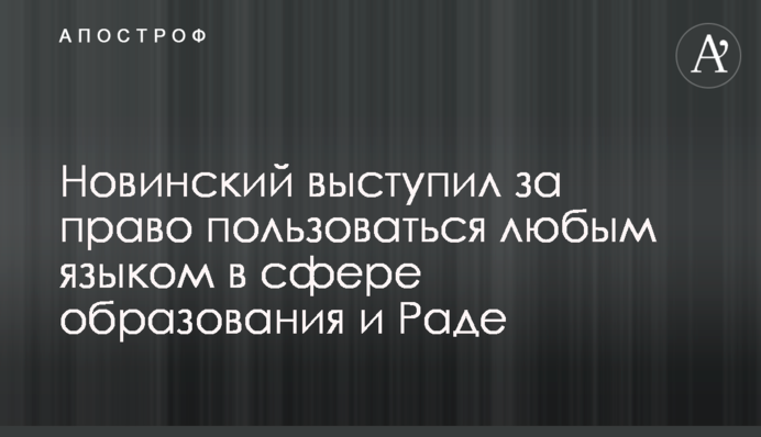 Новинский выступил за право пользоваться любым языком в сфере образования и Раде