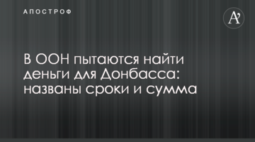 В ООН намагаються знайти гроші для Донбасу: названі терміни і сума