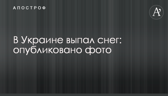 В Україні випав сніг: опубліковано фото