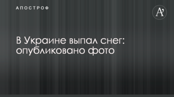 В Украине выпал снег: опубликовано фото