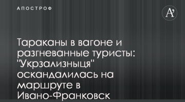 Таргани в вагоні і розгнівані туристи: 