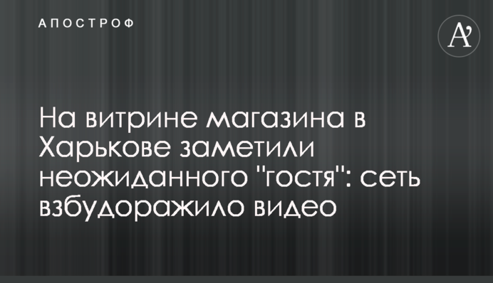 На вітрині магазину в Харкові помітили несподіваного 