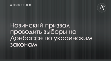Новинський закликав проводити вибори на Донбасі за українськими законами