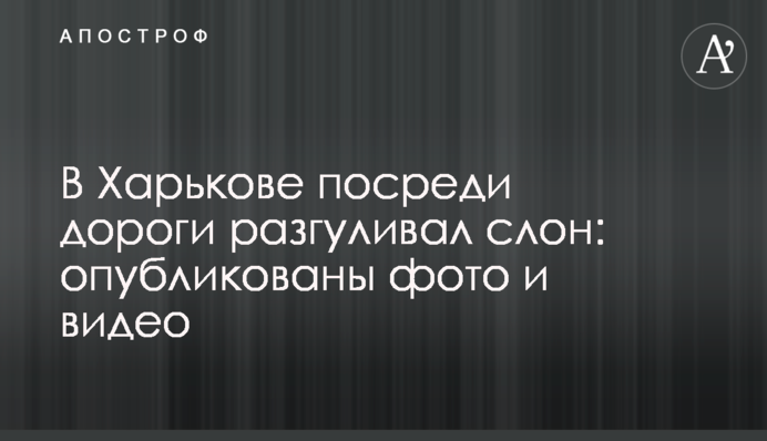 У Харкові посеред вулиці розгулював слон: опубліковано фото і відео