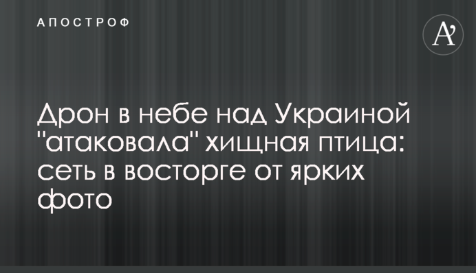 Дрон в небе над Украиной 