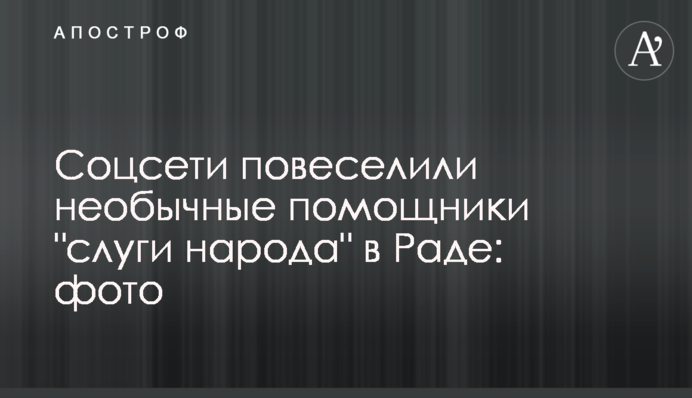 Соцсети повеселили необычные помощники 