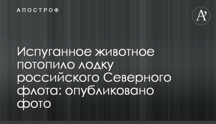 Перелякана тварина потопила човен російського Північного флоту: опубліковано фото