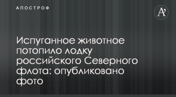 Перелякана тварина потопила човен російського Північного флоту: опубліковано фото