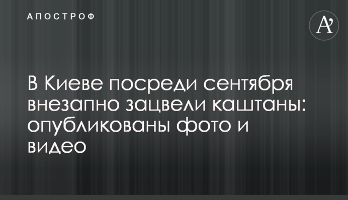 У Києві посеред вересня раптово зацвіли каштани: опубліковано фото і відео