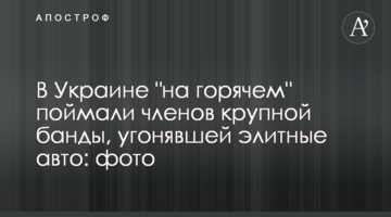 В Украине "на горячем" поймали членов крупной банды, угонявшей элитные авто: фото
