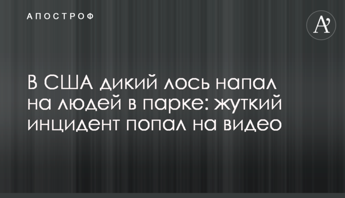 В США дикий лось напал на людей в парке: жуткий инцидент попал на видео