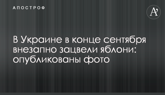 В Україні в кінці вересня раптово зацвіли яблуні: фото