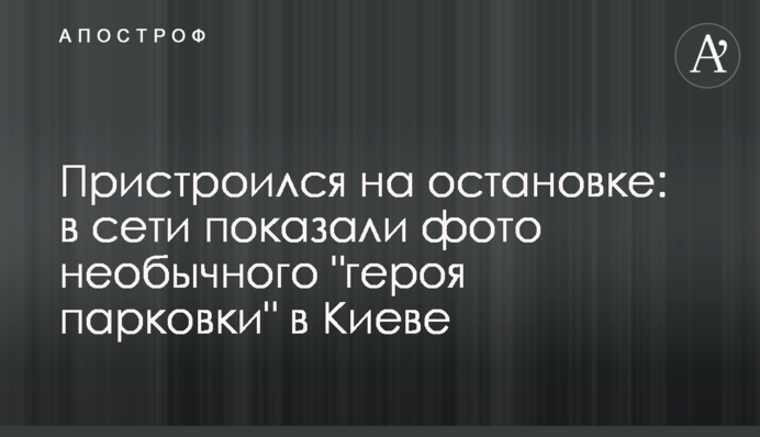 Прилаштувався на зупинці: в мережі показали фото незвичайного 