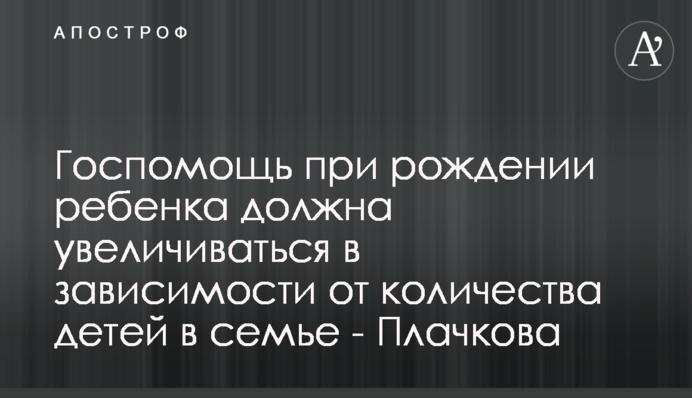 Госпомощь при рождении ребенка должна увеличиваться в зависимости от количества детей в семье - Плачкова