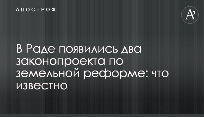 У Раді з'явилися два законопроекти щодо земельної реформи: що відомо