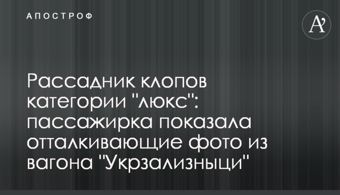 Рассадник клопов категории "люкс": пассажирка показала отталкивающие фото из вагона "Укрзализныци"