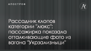 Рассадник клопов категории "люкс": пассажирка показала отталкивающие фото из вагона "Укрзализныци"