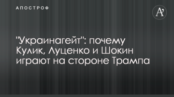 "Украинагейт": эксперт рассказал, как Кулик, Луценко и Шокин играют на стороне Трампа