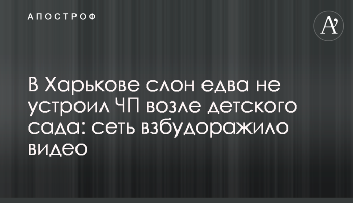 У Харкові слон ледь не влаштував НП біля дитячого садка: мережу розбурхало відео