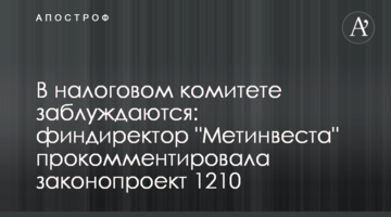 В налоговом комитете заблуждаются: финдиректор "Метинвеста" прокомментировала законопроект 1210