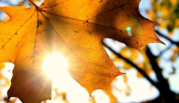 Холод відступить: синоптик назвала дату потепління в Україні та показала карту