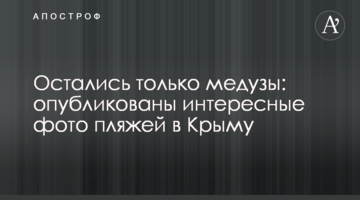 Остались только медузы: опубликованы интересные фото пляжей в Крыму