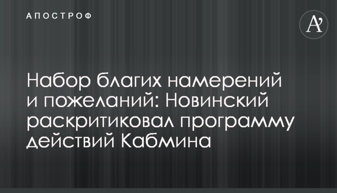 Набір благих намірів і побажань: Новинський розкритикував програму дій Кабміну
