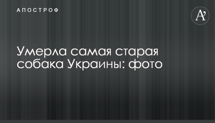 Умерла самая старая собака Украины: фото