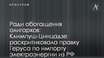 Ради обогащения олигархов: Климпуш-Цинцадзе раскритиковала правку Геруса по импорту электроэнергии из РФ
