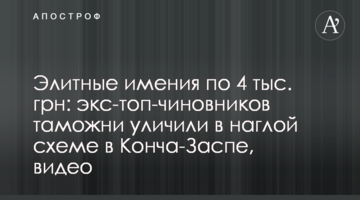 Елітні маєтки по 4 тис. грн: екс-топ-чиновників митниці викрили в нахабній схемі в Конча-Заспі, відео
