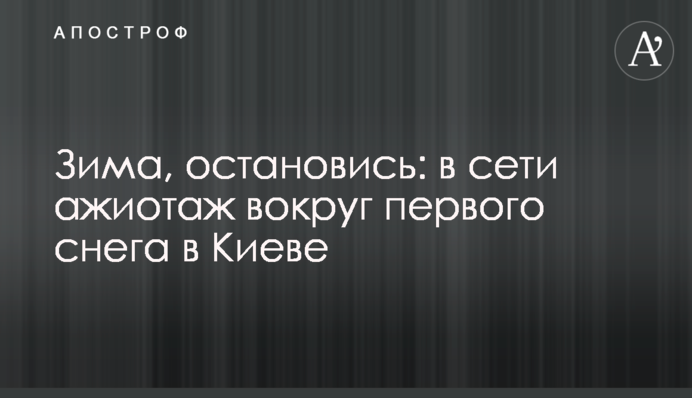 Зима, остановись: в сети ажиотаж вокруг первого снега в Киеве
