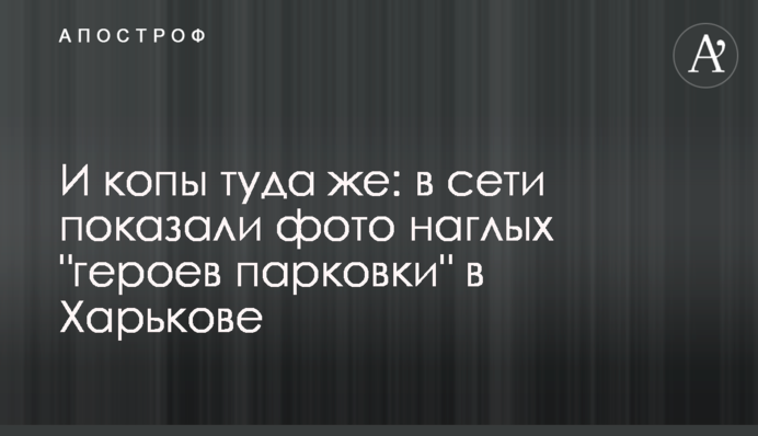 И копы туда же: в сети показали фото наглых 