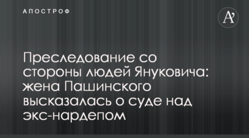 Преследование со стороны людей Януковича: жена Пашинского высказалась о суде над экс-нардепом