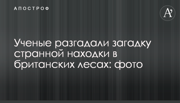 Вчені розгадали загадку дивної знахідки в британських лісах: фото