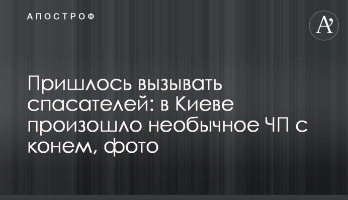 Пришлось вызывать спасателей: в Киеве произошло странное ЧП с конем, фото
