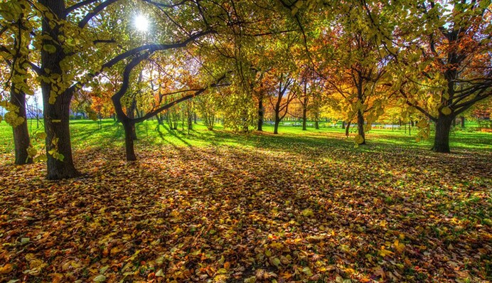 Спека до +24: синоптики потішили українців свіжим прогнозом