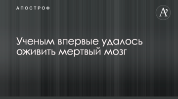 Вченим вперше вдалося оживити мертвий мозок