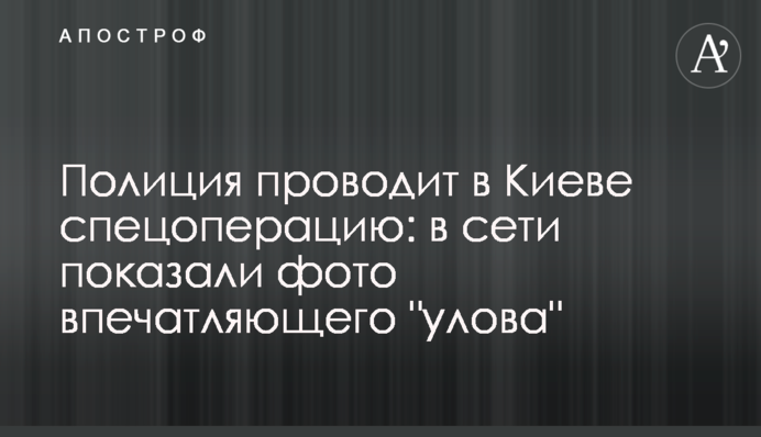 Поліція проводить в Києві спецоперацію: в мережі показали фото вражаючого 