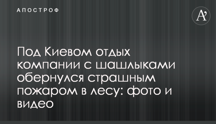 Під Києвом відпочинок компанії з шашликами обернувся страшною пожежею в лісі: фото і відео